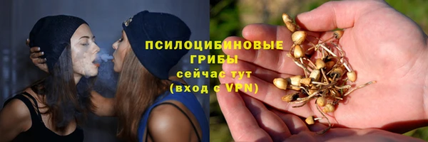 соль ск Нефтегорск