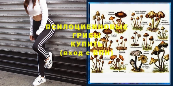 не бодяженный Апатиты