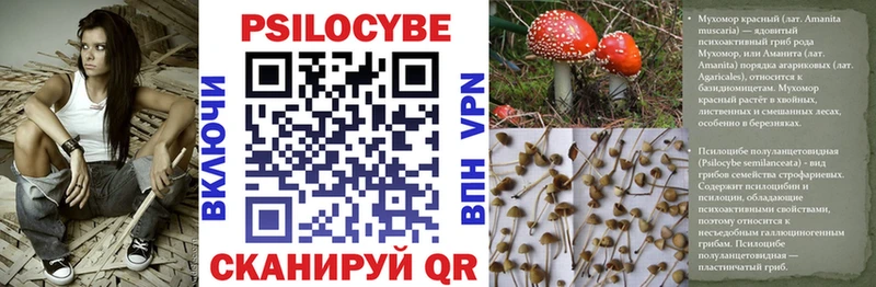 Псилоцибиновые грибы мухоморы  Крым 